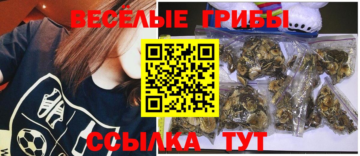 Галлюциногенные грибы Cubensis Сызрань