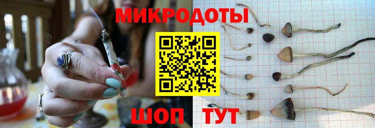 Галлюциногенные грибы Cubensis  Вход с VPN  Сызрань 